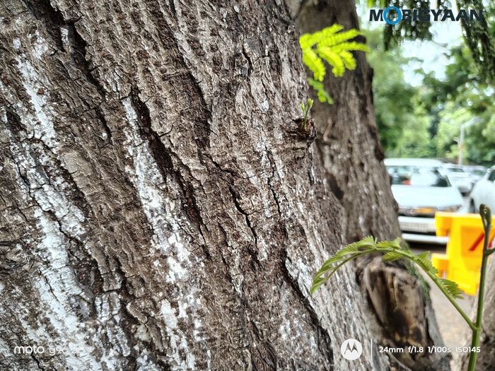 moto g96 5G Review Camera Samples 11