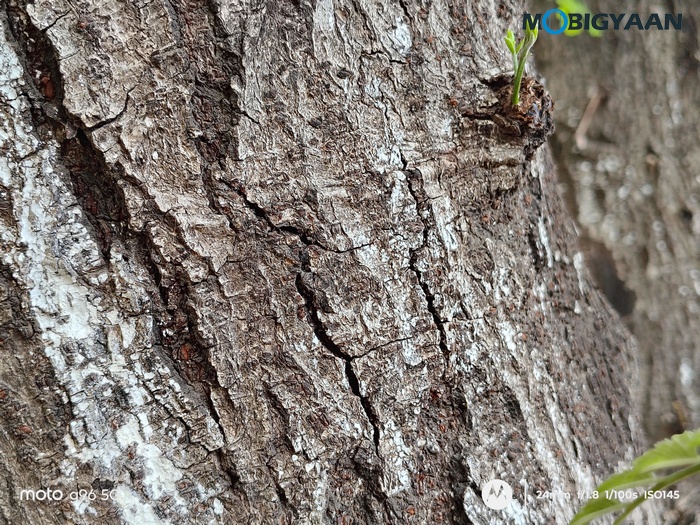 moto g96 5G Review Camera Samples 13