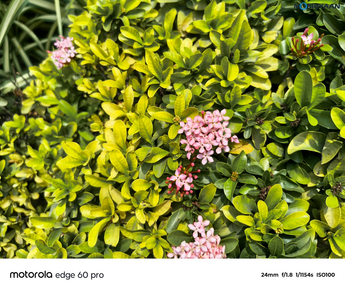 motorola edge 60 PRO Review Camera Samples 15