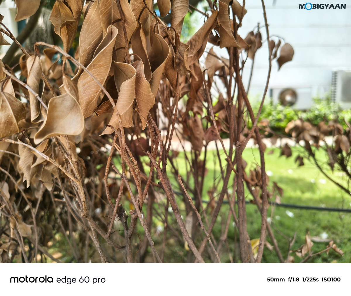 motorola edge 60 PRO Review Camera Samples 5