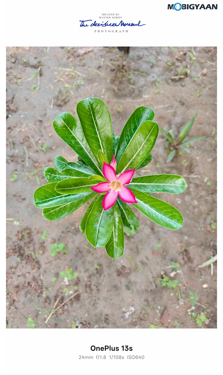OnePlus 13s Review Camera Samples 56