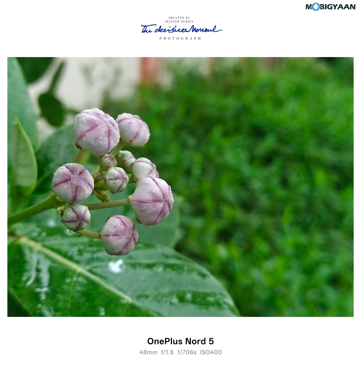 OnePlus Nord 4 Review Camera Samples 18