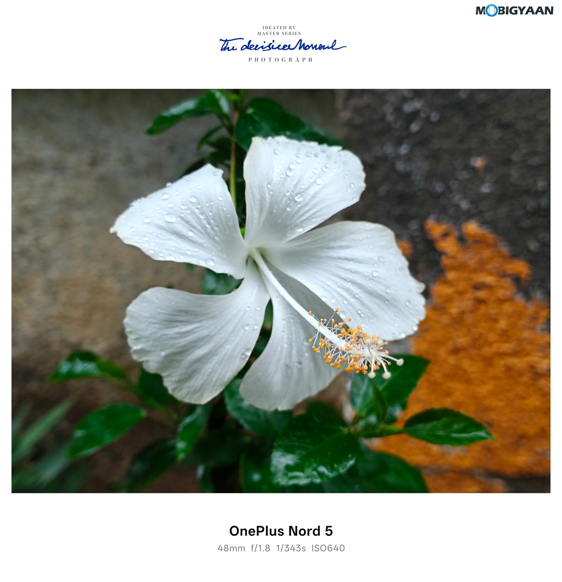OnePlus Nord 4 Review Camera Samples 2