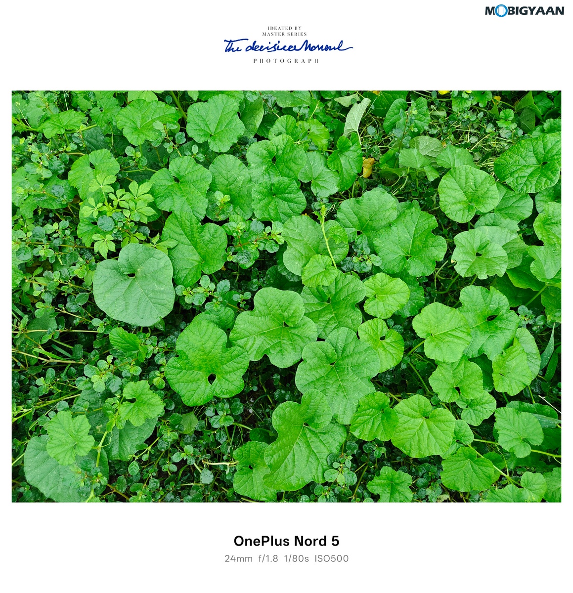 OnePlus Nord 4 Review Camera Samples 26
