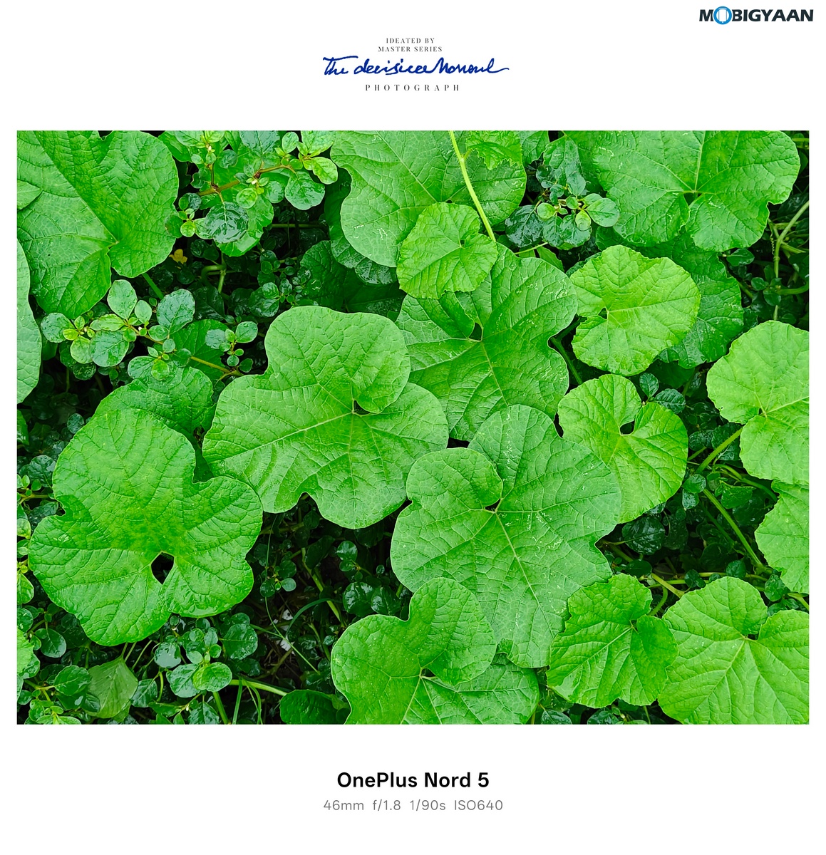 OnePlus Nord 4 Review Camera Samples 27