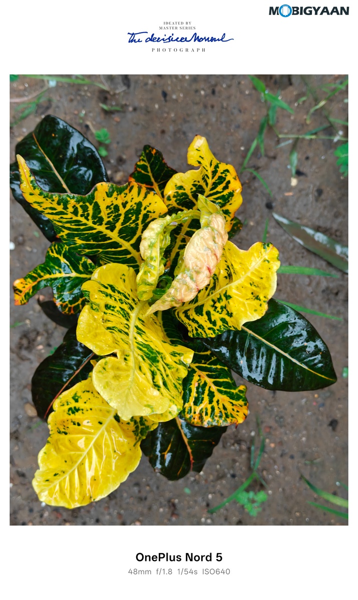 OnePlus Nord 4 Review Camera Samples 4