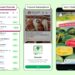 WhatsApp to introduce ads in status, paid channel subscriptions, and more in updates tab