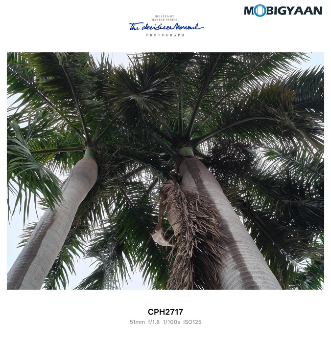 OnePlus Nord CE5 Review Camera Samples 1