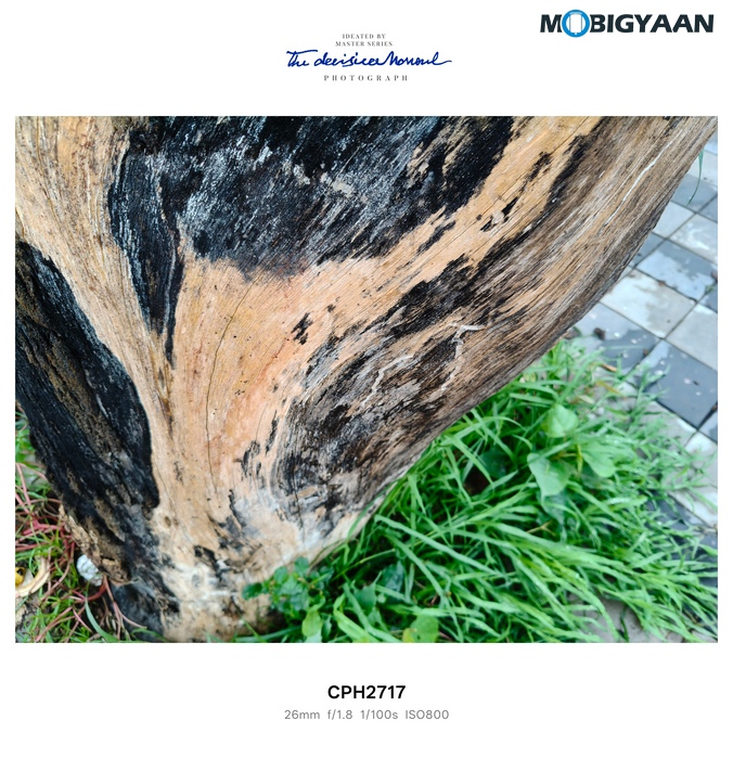 OnePlus Nord CE5 Review Camera Samples 17