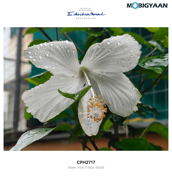 OnePlus Nord CE5 Review Camera Samples 2
