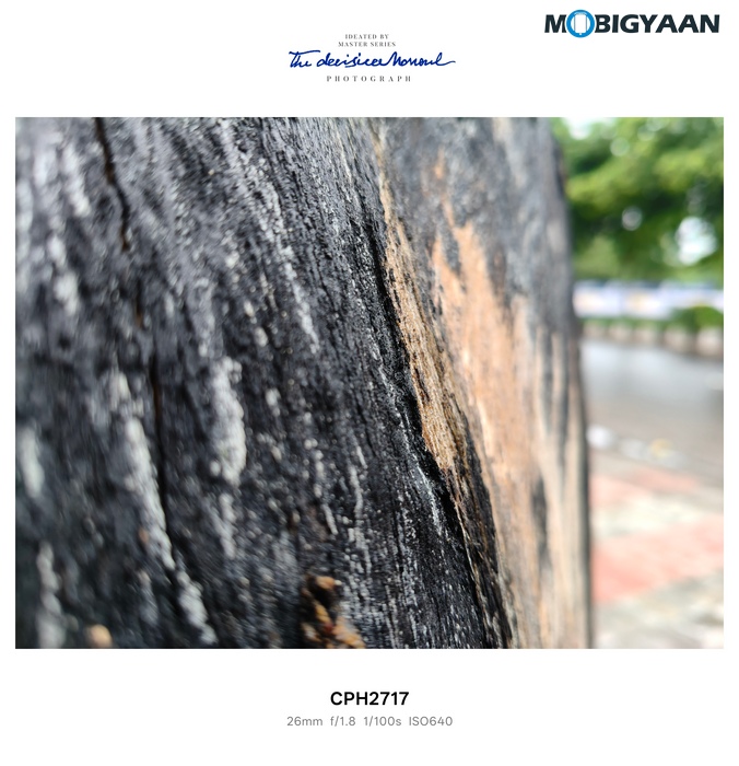OnePlus Nord CE5 Review Camera Samples 21