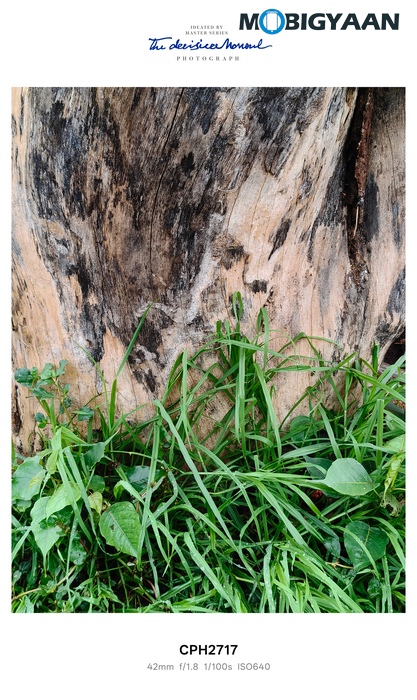 OnePlus Nord CE5 Review Camera Samples 22