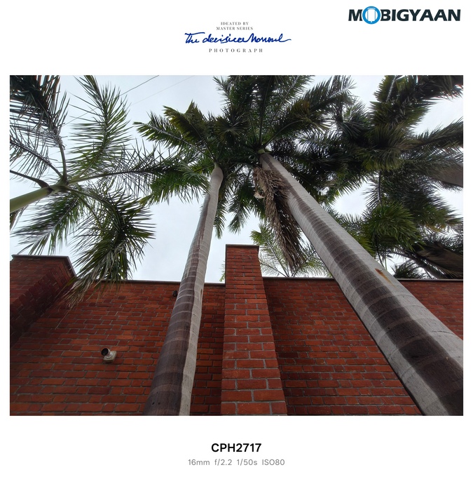 OnePlus Nord CE5 Review Camera Samples 24