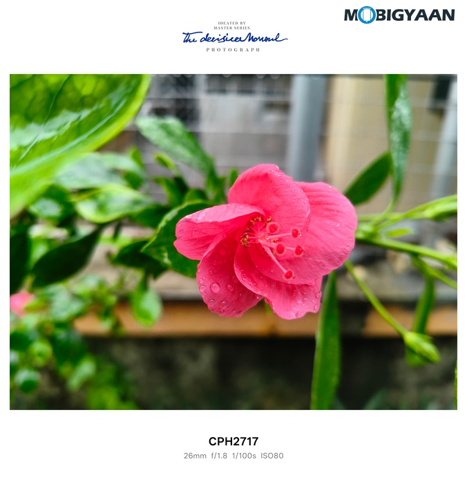 OnePlus Nord CE5 Review Camera Samples 3
