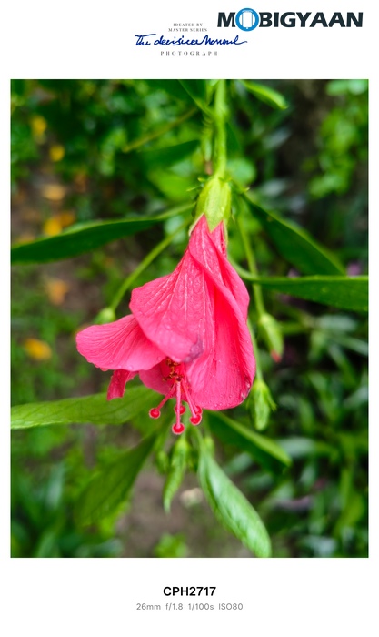 OnePlus Nord CE5 Review Camera Samples 4