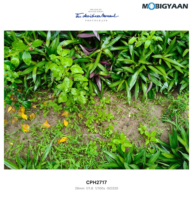OnePlus Nord CE5 Review Camera Samples 5