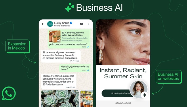 WhatsApp Business AI