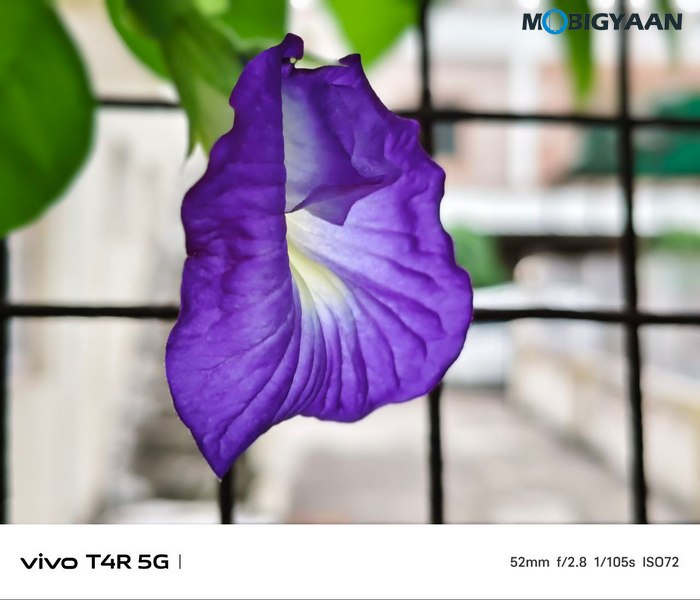 vivo T4R 5G Review Camera Samples 1