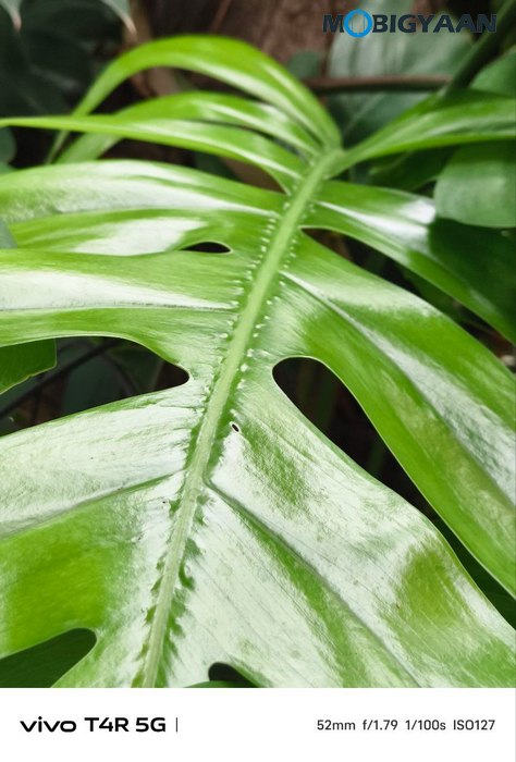vivo T4R 5G Review Camera Samples 10