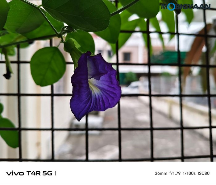 vivo T4R 5G Review Camera Samples 11