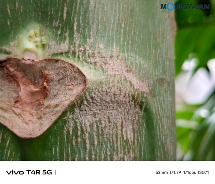 vivo T4R 5G Review Camera Samples 13