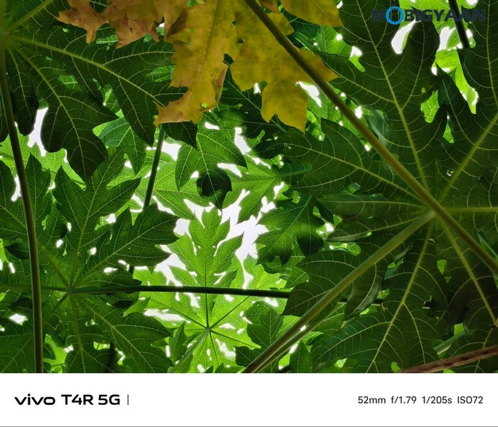 vivo T4R 5G Review Camera Samples 14
