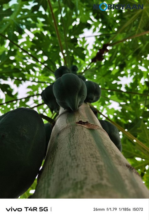 vivo T4R 5G Review Camera Samples 15
