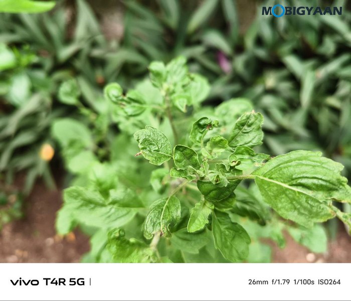 vivo T4R 5G Review Camera Samples 16