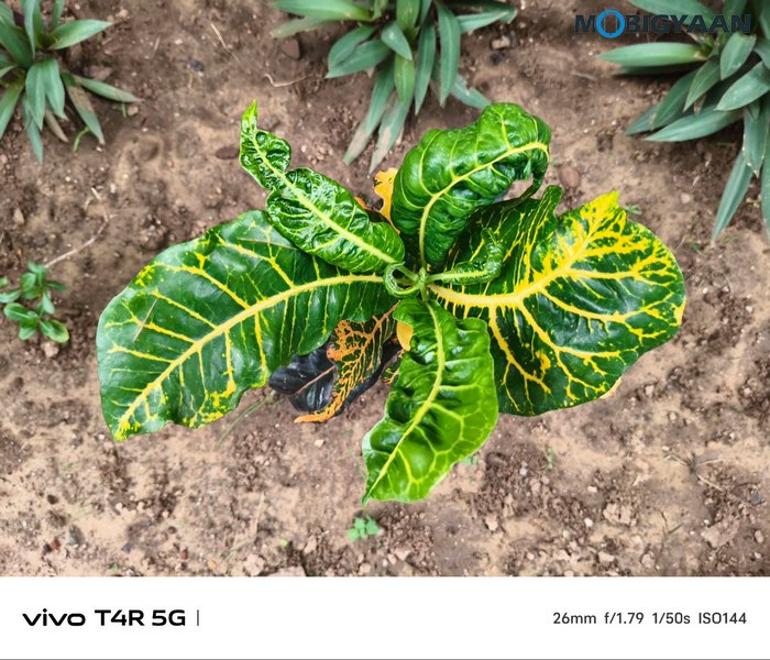 vivo T4R 5G Review Camera Samples 2