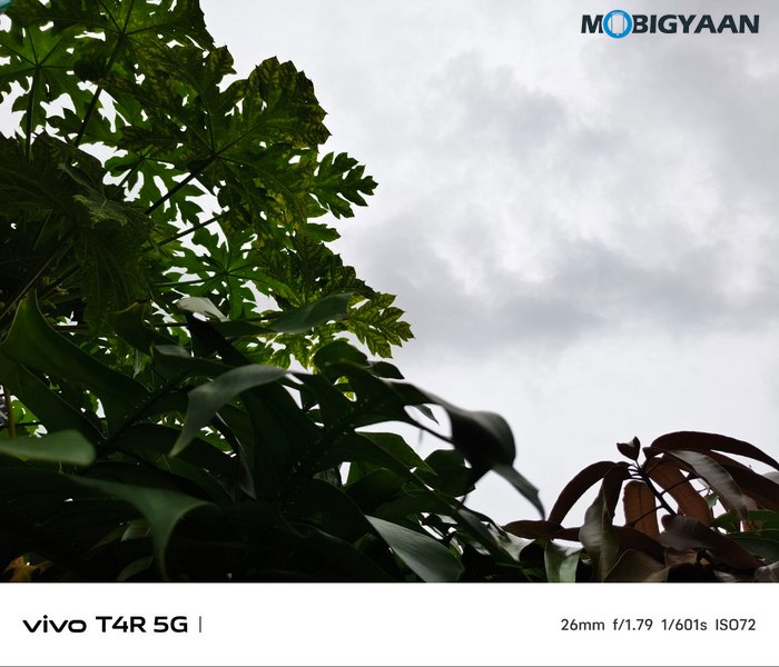 vivo T4R 5G Review Camera Samples 20