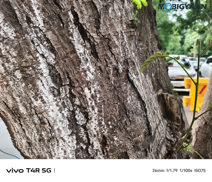 vivo T4R 5G Review Camera Samples 26