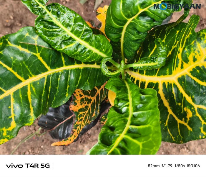 vivo T4R 5G Review Camera Samples 3