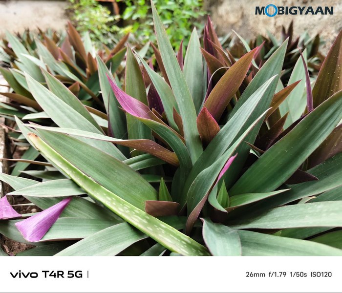 vivo T4R 5G Review Camera Samples 4