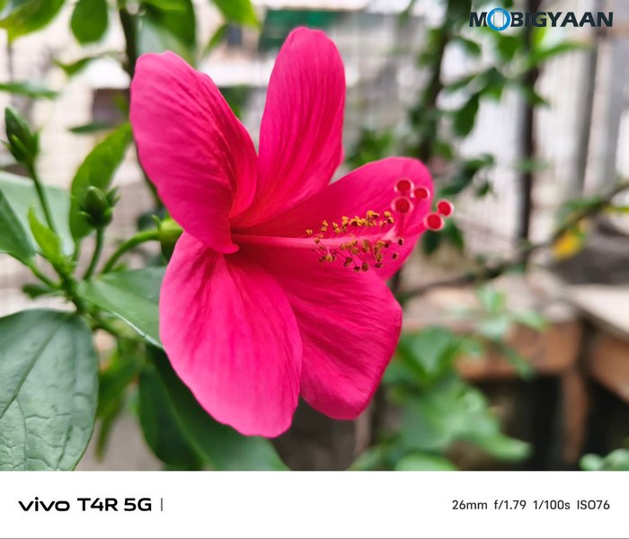 vivo T4R 5G Review Camera Samples 7