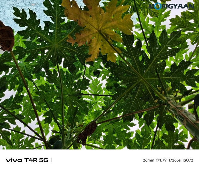 vivo T4R 5G Review Camera Samples 8
