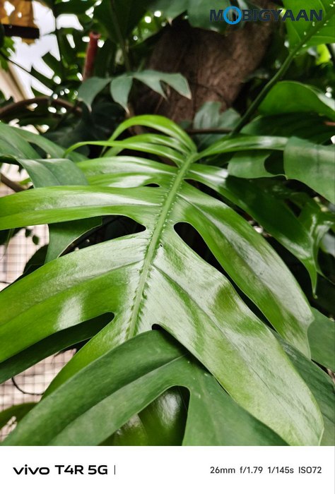 vivo T4R 5G Review Camera Samples 9