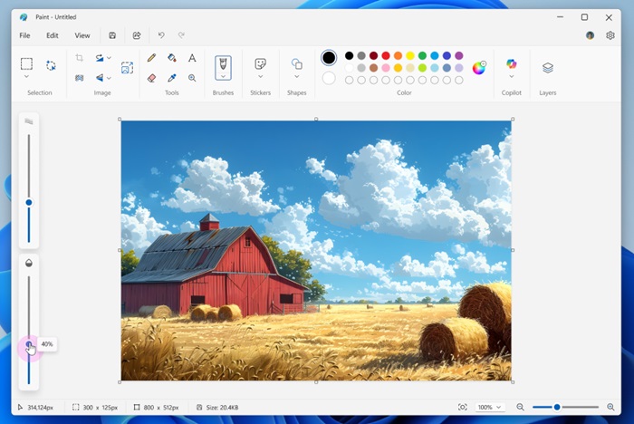 Paint brush opacity