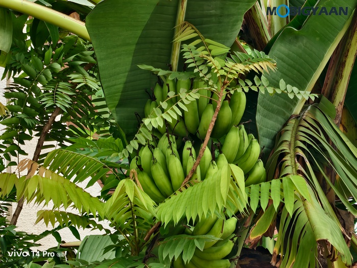 vivo T4 Pro Review Camera Samples 4