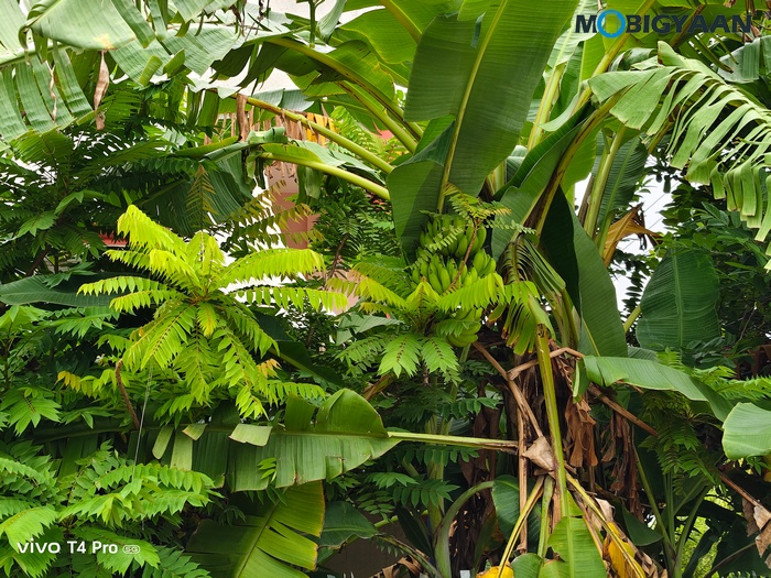 vivo T4 Pro Review Camera Samples 6