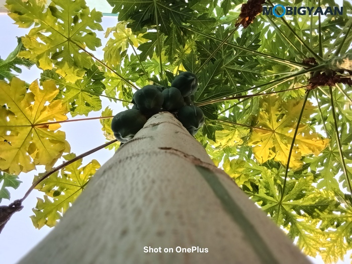 OnePlus Pad Lite Review Camera Samples 1