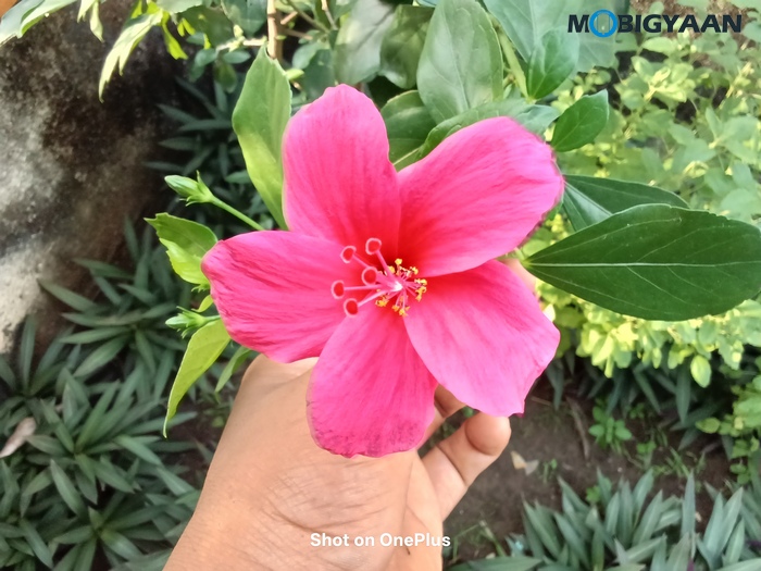 OnePlus Pad Lite Review Camera Samples 2