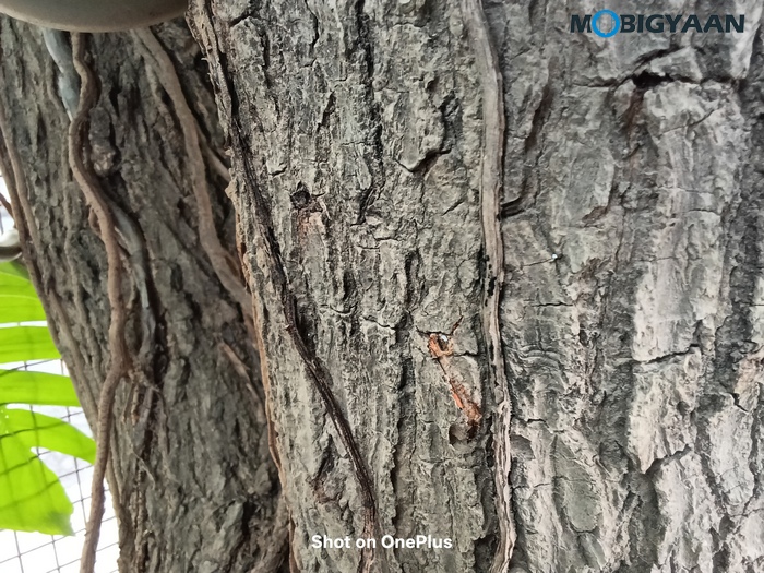OnePlus Pad Lite Review Camera Samples 3