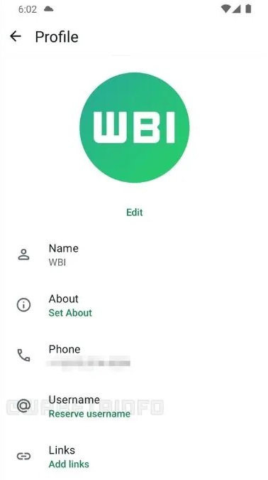 whatsapp usernames