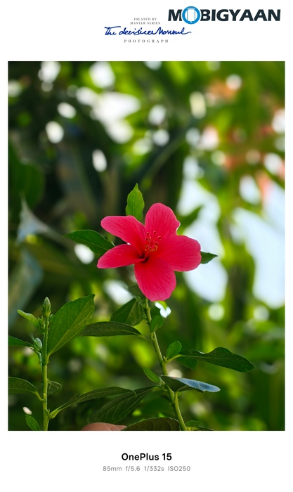 OnePlus 15 Review Camera Samples 1