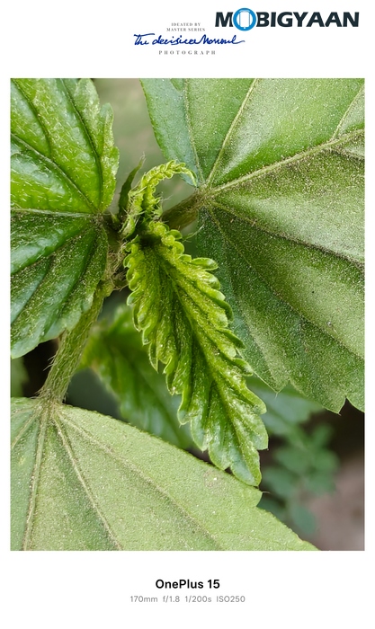 OnePlus 15 Review Camera Samples 12