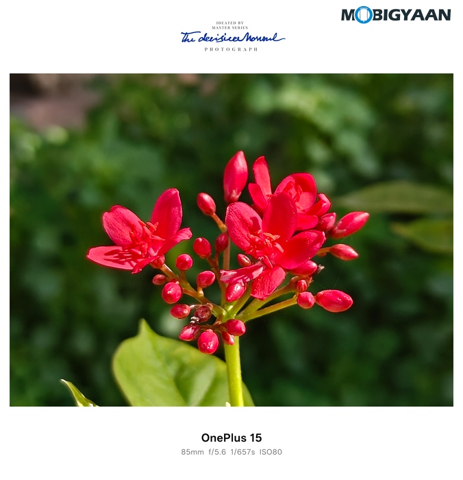 OnePlus 15 Review Camera Samples 13