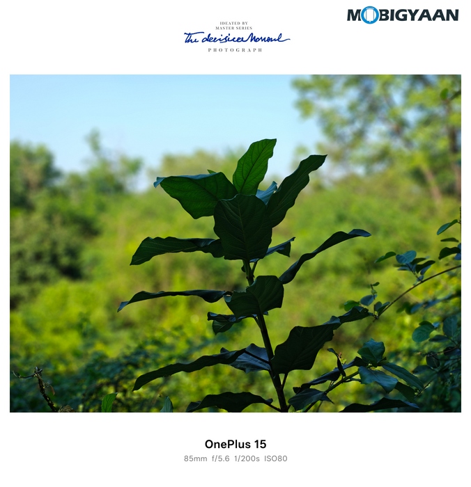 OnePlus 15 Review Camera Samples 36