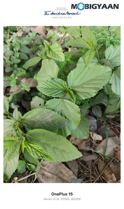 OnePlus 15 Review Camera Samples 9