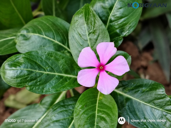 moto g67 Power 5G Review Camera Samples 10