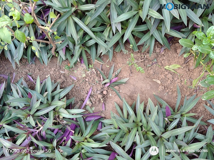 moto g67 Power 5G Review Camera Samples 11